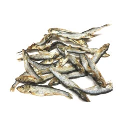 Competition Sprats Adult