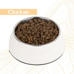 Antelope Grain-free Adult – Dog Food -Beeztys Zone 1uQIuCQf66pdDmnzO55IvCvET7VCgO metaYW50ZWxvcGVfZnJlc2hfYWR1bHRfaG9uZGVudm9lcl9jaGlja2VuLmpwZw