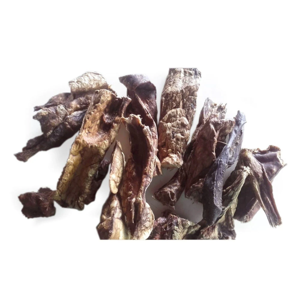 ROYAL CANIN Competition Lamb Lungs 1 ROYAL CANIN Competition Lamb Lungs