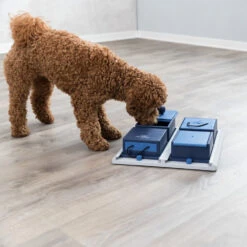 Trixie Dog Activity Poker Box -Beeztys Zone 4GNYmJCarjjHju4owvcW13MD7XvhnS metaVHJpeGllLURvZy1BY3Rpdml0eS1Qb2tlci1Cb3gtMi5qcGc