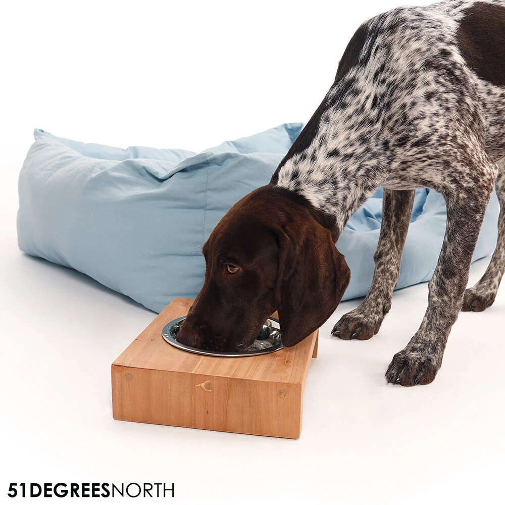 51 Degrees North Food Bowl Teak High 5 51 Degrees North Food Bowl Teak High - Image 5