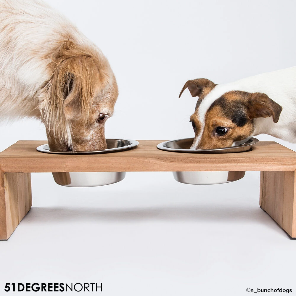 51 Degrees North Food Bowl Teak High 4 51 Degrees North Food Bowl Teak High - Image 4