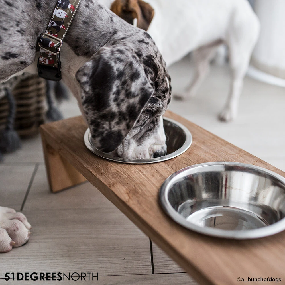 51 Degrees North Food Bowl Teak High 7 51 Degrees North Food Bowl Teak High - Image 7