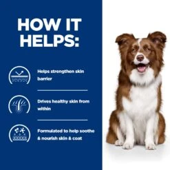 Hill's Derm Defense - Prescription Diet - Canine -Beeztys Zone 5ZlKpfYY7Iehvw6BPxEzHG5NGVQ32m metaNTI3NDIwNDQ3NDNfM19FTi5qcGc