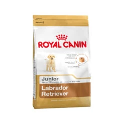 Royal Canin Labrador Retriever Puppy - Dog Food -Beeztys Zone 62997caf521778e763bb250bf09ce524f2b31d05f035a56b12fe737caffada9c 5