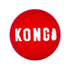 KONG Signature Ball -Beeztys Zone 68fd73ea63fe5252b4ccb2d8e411a95c76c3b4be4d0b949b7b39b4494232b66d 4