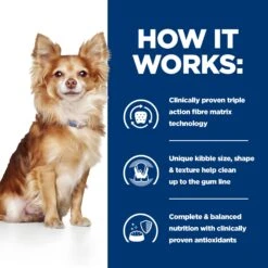 Hill's T/d Mini Dental Care - Prescription Diet - Canine -Beeztys Zone OC1To57RzNSR1VJchwFImRgOAajXPC metaNTI3NDI0MDIxMDlfMl9FTi5qcGc