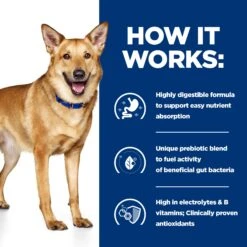 Hill's I/d Digestive Care - Prescription Diet - Canine -Beeztys Zone OP39zNoPntuuOrqzFLmP58pR4ygKzv metaNTI3NDIwNDA3MzhfMl9FTi5qcGc