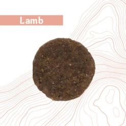 Antelope Grain-free Adult – Dog Food -Beeztys Zone Rs0dzcCIM4bPcRm3tdQToNG79s4C8t metaYW50ZWxvcGVfZnJlc2hfYWR1bHRfaG9uZGVudm9lcl9sYW1iMi5qcGc