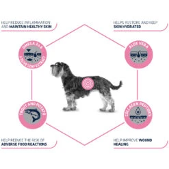 Affinity Advance Veterinary Diets Atopic Mini Dog -Beeztys Zone affinity advance veterinary diets atopic mini hond 177538 1500 none