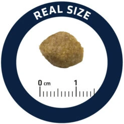 Affinity Advance Veterinary Diets Urinary Dog -Beeztys Zone affinity advance veterinary diets urinary hond 177694 0500 none