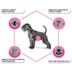 Affinity Advance Veterinary Diets Urinary Dog -Beeztys Zone affinity advance veterinary diets urinary hond 177715 1500 none