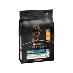 Purina Pro Plan Dog - Large Breed Puppy -Beeztys Zone awBxDSSbRsIDmb0OdL7r3ZjejoZVi9 metaUHVyaW5hLVByby1QbGFuLUxhcmdlLUJyZWVkLVJvYnVzdC5qcGc