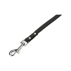 Beeztees Enjoy Dog Leash -Beeztys Zone beeztees geniet hondenriem 200033 2000 none