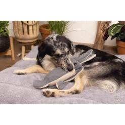 Beeztees Minus One Squid 7 Beeztees Minus One Squid -Beeztys Zone beeztees minus one inktvis 188091 2000 none