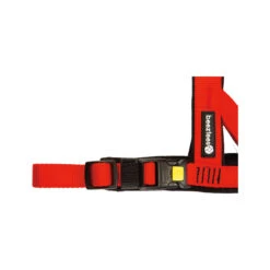 Beeztees Parinca Premium Comfort Harness -Beeztys Zone beeztees parinca premium comfort hondentuig 198548 2000 none