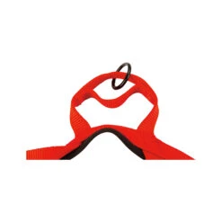 Beeztees Parinca Premium Comfort Harness -Beeztys Zone beeztees parinca premium comfort hondentuig 198554 2000 none