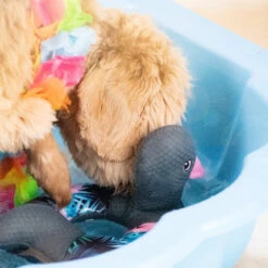 CoolPets Ring O'Ducky -Beeztys Zone coolpets ring oducky 195431 2000 none