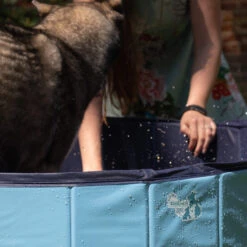 CoolPets Swimming Pool 10 CoolPets Swimming Pool -Beeztys Zone coolpets zwembad 198134 2000 none