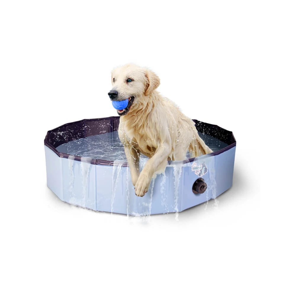 CoolPets Swimming Pool 2 CoolPets Swimming Pool - Image 2