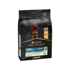 Purina Pro Plan Dog - Large Breed Puppy -Beeztys Zone dU70BJbmRXzQ8Dr0cGHov2aotxkGjW metaUHVyaW5hLVByby1QbGFuLUxhcmdlLUJyZWVkLUF0aGxldGljLmpwZw