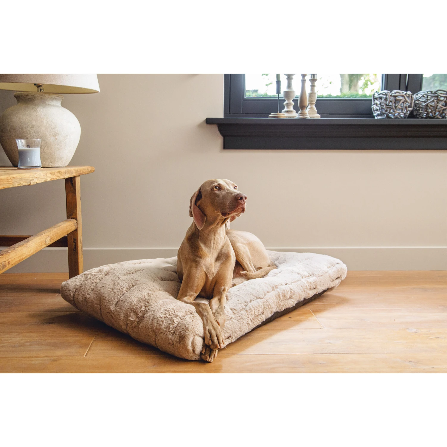 Designed By Lotte Xanti Dog Bed - Image 2