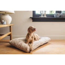 Designed By Lotte Xanti Dog Bed -Beeztys Zone designed by lotte xanti hondenkussen 188124 2000 none