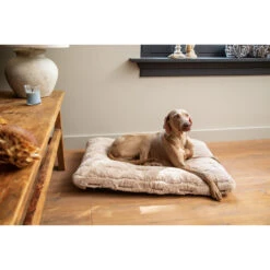 Designed By Lotte Xanti Dog Bed -Beeztys Zone designed by lotte xanti hondenkussen 188127 2000 none