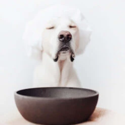 Trixie District 70 Bamboo Feeding Bowl For Dogs -Beeztys Zone district 70 bamboo voerbak voor honden 207695 2000 none