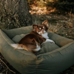 District 70 Lodge Box Bed