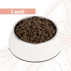 Antelope Grain-free Adult – Dog Food -Beeztys Zone dnlmZiK5CGm1AT44rBAIQzpXogTZ11 metaYW50ZWxvcGVfZnJlc2hfYWR1bHRfaG9uZGVudm9lcl9sYW1iLmpwZw