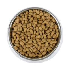 Vetality Weight Management - Dog Food -Beeztys Zone gPiWLyBeuYpwRRP0A7fHyS3i0LWlN6 metaV2VpZ2h0IE1hbmFnbWVudCBiYWsucG5n