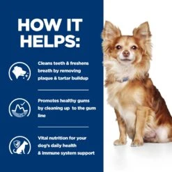Hill's T/d Mini Dental Care - Prescription Diet - Canine -Beeztys Zone ggvvsrDDd7nBGxQ0jYaBjE90ZqWufD metaNTI3NDI0MDIxMDlfM19FTi5qcGc