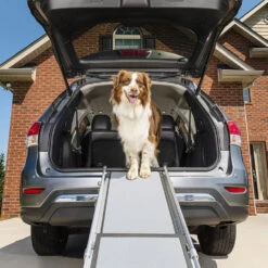 Happy Ride Telescoping Pet Ramp Deluxe 7 Happy Ride Telescoping Pet Ramp Deluxe -Beeztys Zone happy ride telescoping pet ramp deluxe 162499 1000 none