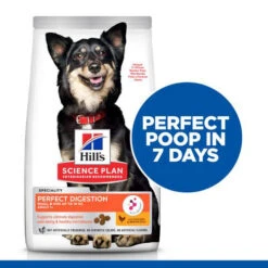 Hill's Science Plan Adult Perfect Digestion Small En Mini Dog Food -Beeztys Zone hills science plan adult perfect digestion small en mini hondenvoer 181243 0500 none
