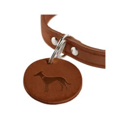 Hunter Collar Aalborg - Brown -Beeztys Zone hunter halsband aalborg bruin 175252 1500 none