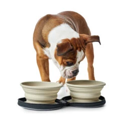 Hunter Silicone Travel Bowls With Bag -Beeztys Zone hunter siliconen reiskommen in tasje 175747 2000 none