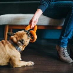 Trixie P.L.A.Y. Pet International Classic - Pretzel Toy -Beeztys Zone international classic pretzel toy 198122 1000 none