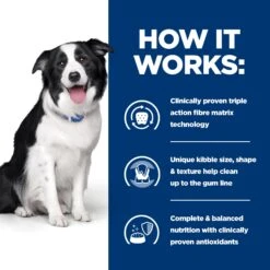 Hill's T/d Dental Care - Prescription Diet - Canine -Beeztys Zone jApigx7Rgl7iq63FxayUmBZ3pnlpHs metaNTI3NDIwNDc0NDdfMl9FTi5qcGc