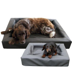 Lounge Dog Bed