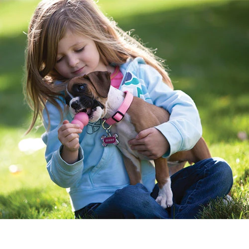 Beeztees KONG Puppy 8 Beeztees KONG Puppy - Image 8