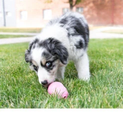 Beeztees KONG Puppy 18 Beeztees KONG Puppy -Beeztys Zone kong puppy 98903 0500 none