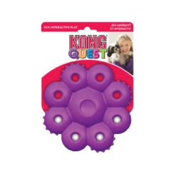 Nina Ottosson KONG Quest -Beeztys Zone kong quest 162718 1000 none