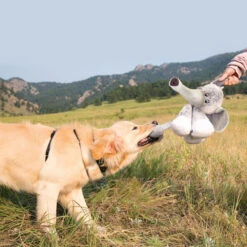 Chuckit! KONG Stretchezz Legz -Beeztys Zone kong stretchezz legz 162619 1000 none