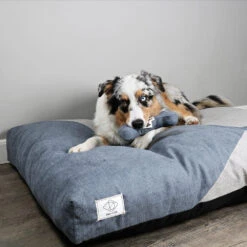 D&D Maddy Dog Bed -Beeztys Zone maddy hondenkussen 190855 1000 none