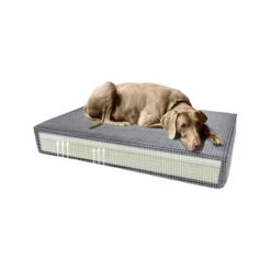 Madison Orthopedic Bed Velvet -Beeztys Zone madison orthopedisch kussen velvet 189584 0500 none