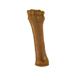Nylabone Puppy Bone -Beeztys Zone nylabone puppy bone 91170 0500 none