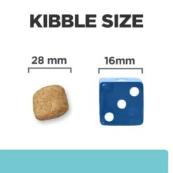 Hill's T/d Dental Care - Prescription Diet - Canine -Beeztys Zone oCuALlKDm1YVyFP8Wa9twSKOI4K3CA metaNTI3NDIwNDc0NDdfNF9FTi5qcGc