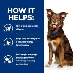 Hill's Metabolic Weight Management - Prescription Diet - Canine -Beeztys Zone ofaAXo99jhB6BOnG074URfrRIF7A0D metaNTI3NDIyMDk3MDhfM19FTi5qcGc