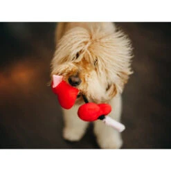 P.L.A.Y. Pet Puppy Love - Fur-Ever Hearts -Beeztys Zone play puppy love fur ever hearts 144005 0500 none